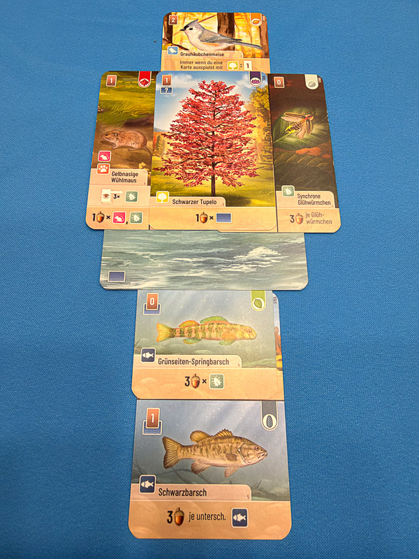 [SPIEL 26]