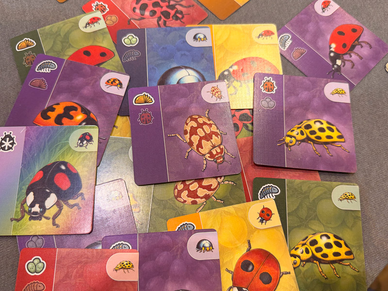 [SPIEL 26]